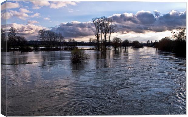 Thames Floods at Wallingford Canvas Print by Ian Lewis