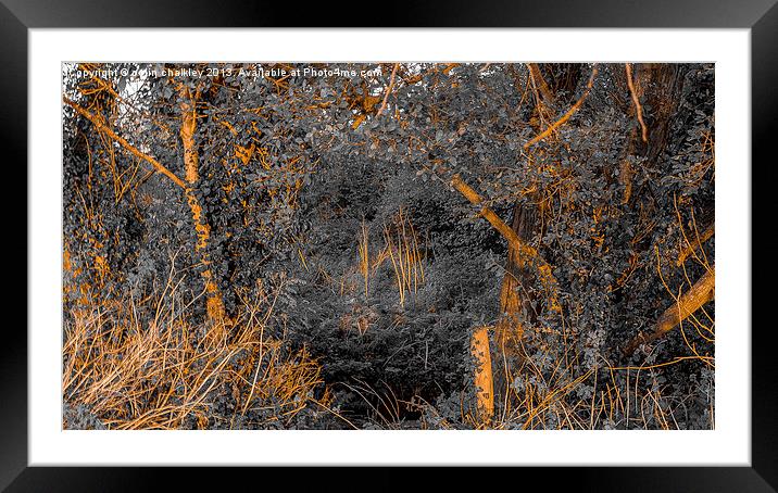 Abstract Rays Framed Mounted Print by colin chalkley