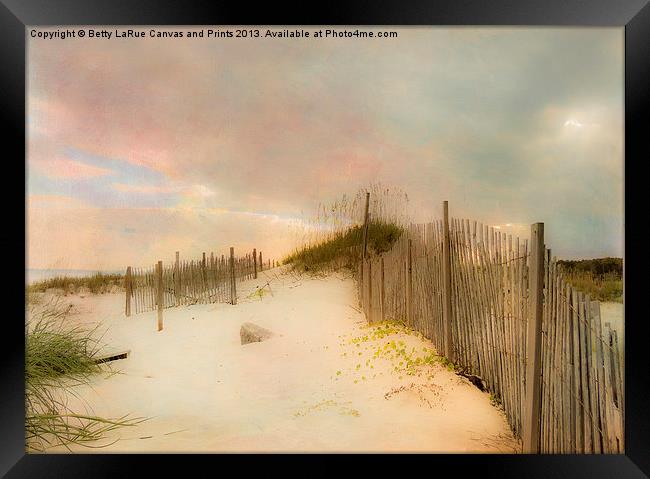 Sunrise on the beach Framed Print by Betty LaRue