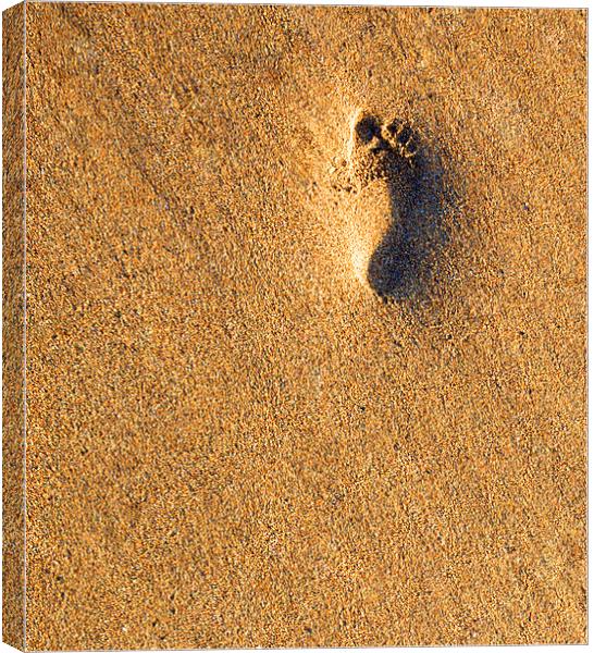 Footprint in the Sand Canvas Print by Mike Gorton