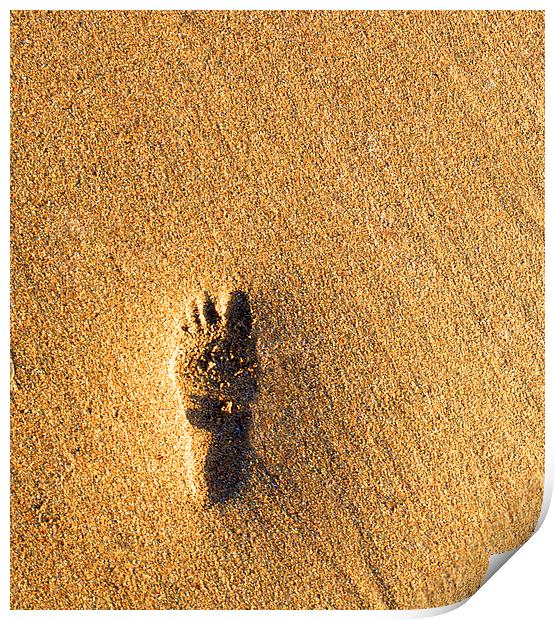 Child's Imprint in Sandy Beach Print by Mike Gorton