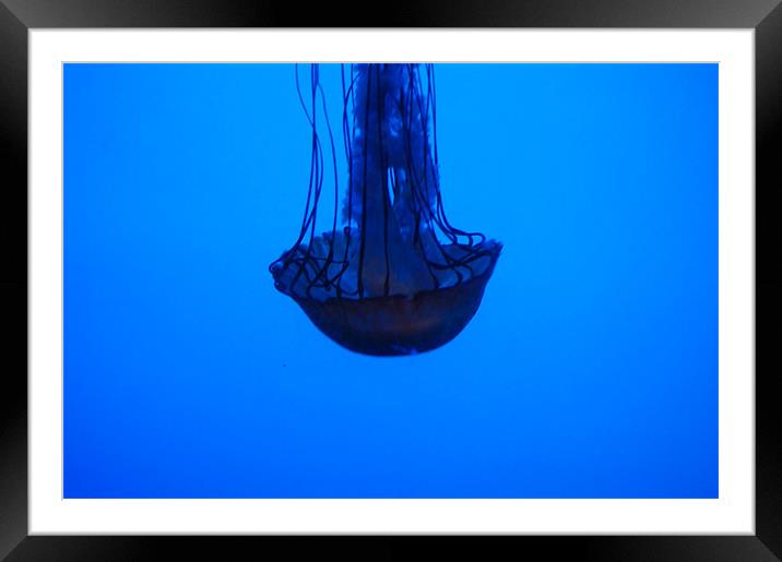 Jellyfish Framed Mounted Print by Emma Crowter