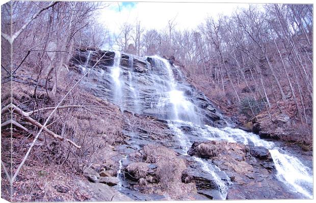 Amicalola Falls in February Canvas Print by Emma Crowter