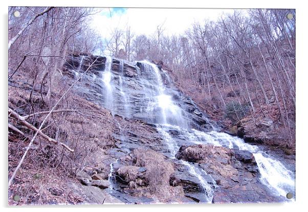 Amicalola Falls in February Acrylic by Emma Crowter