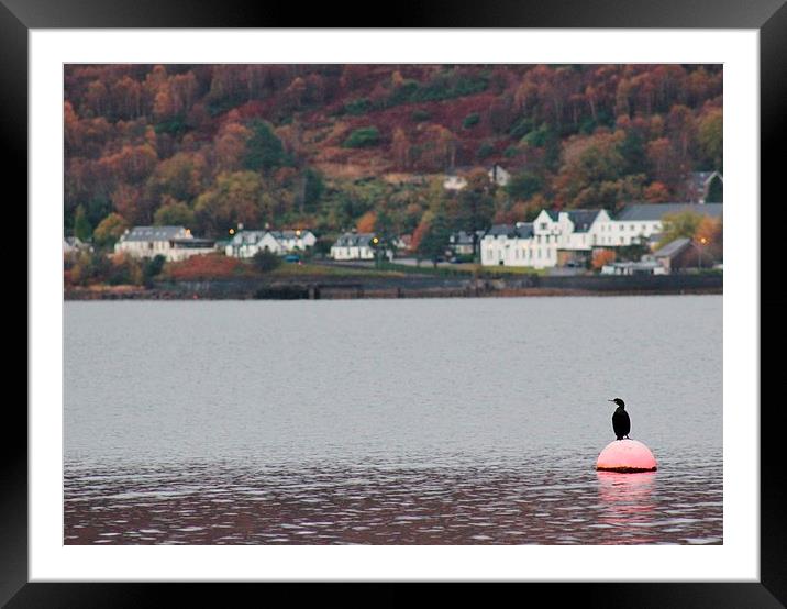Artochar loch in Scotland Framed Mounted Print by Claire Colston