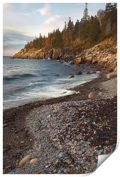 Hunters Beach, Maine Print by David Roossien