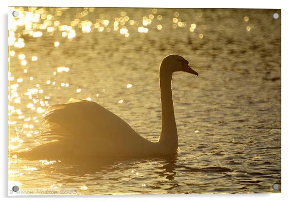 Swan Acrylic by Simon Hodson