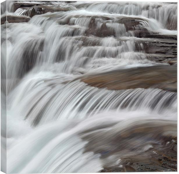 McDonald Falls In Glacier National Park Canvas Print by David Roossien