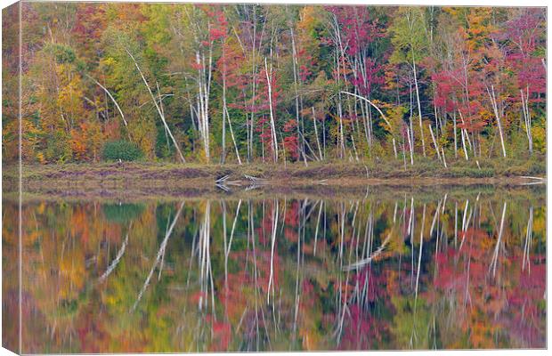 Round Pond Reflection, Adirondacks Canvas Print by David Roossien