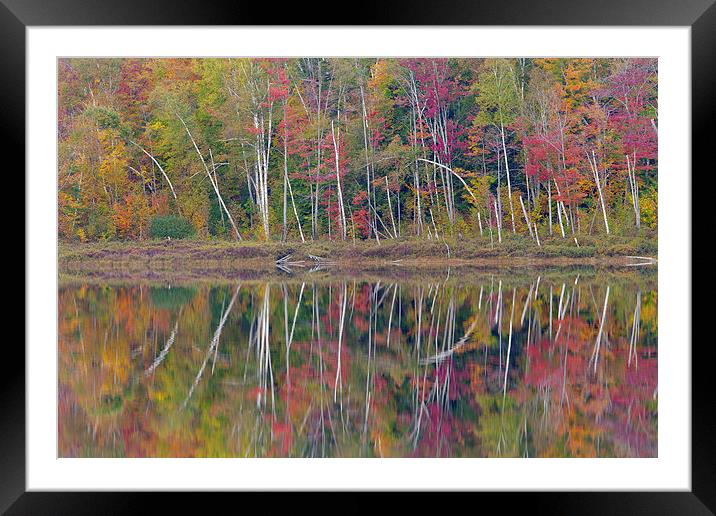 Round Pond Reflection, Adirondacks Framed Mounted Print by David Roossien