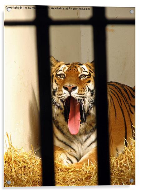 behind bars Acrylic by jim huntsman
