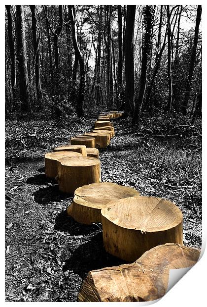 Path Into The Woods Print by Steven Hayman