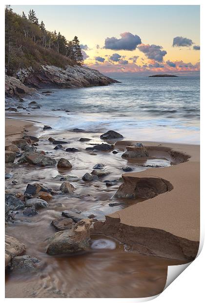 Creek at Sand Beach, Maine Print by David Roossien