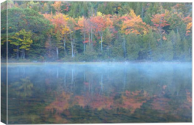 Bubble Pond Reflection, Maine Canvas Print by David Roossien