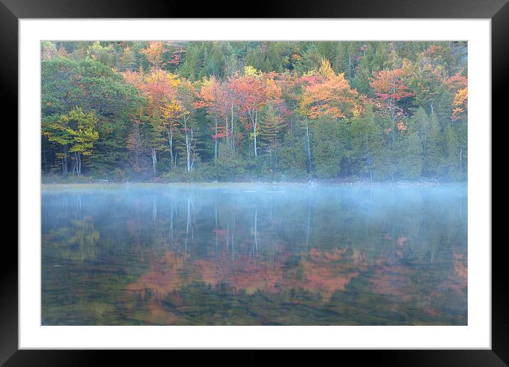 Bubble Pond Reflection, Maine Framed Mounted Print by David Roossien