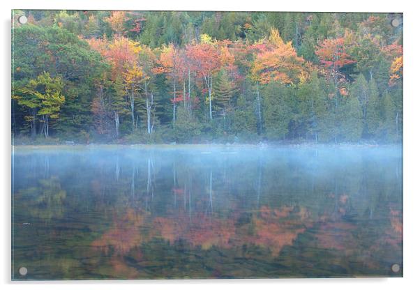 Bubble Pond Reflection, Maine Acrylic by David Roossien