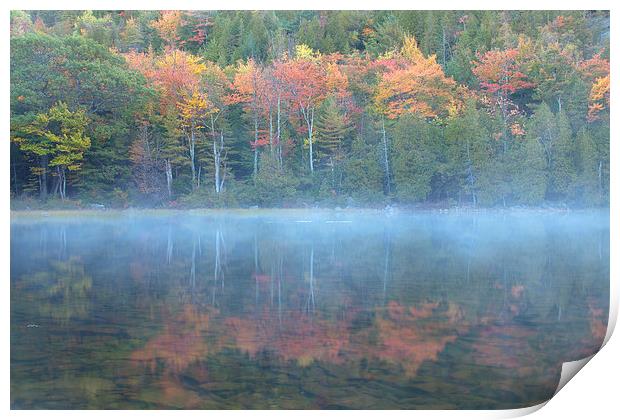 Bubble Pond Reflection, Maine Print by David Roossien