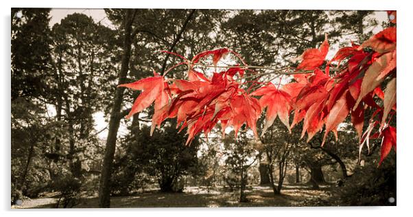 Autumn Red Acrylic by Dan Davidson