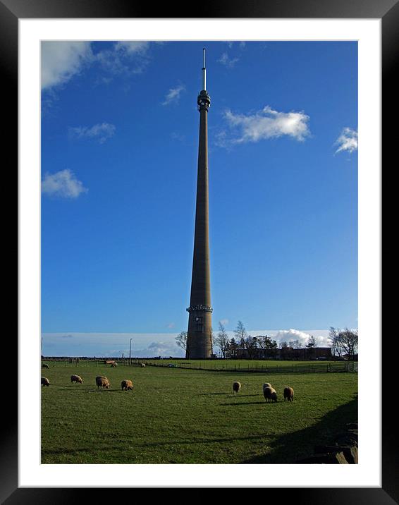 Emley Moor Framed Mounted Print by Stephen Brown