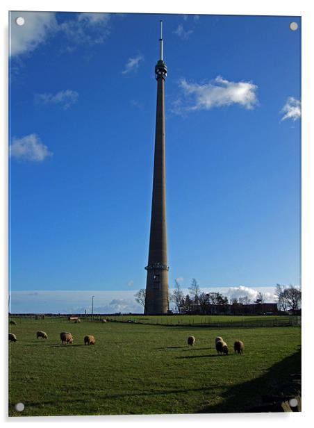Emley Moor Acrylic by Stephen Brown