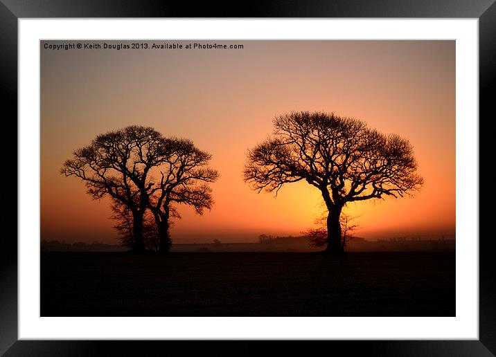 Trees at sunrise Framed Mounted Print by Keith Douglas