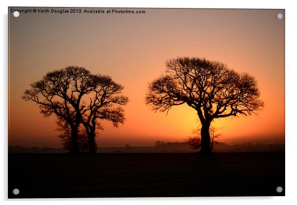 Trees at sunrise Acrylic by Keith Douglas