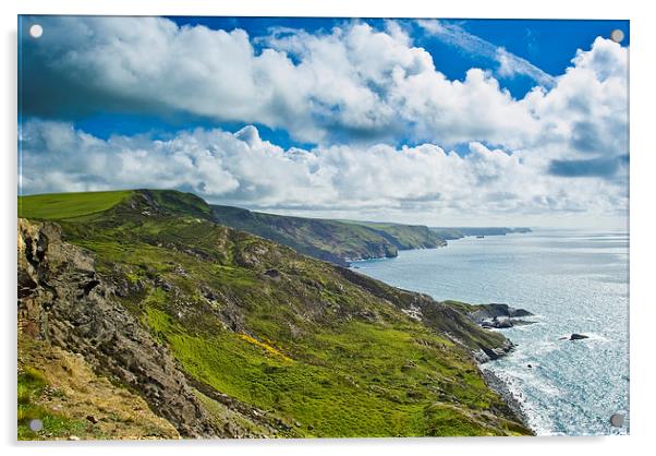 Coastline Cornwall Acrylic by David Wilkins