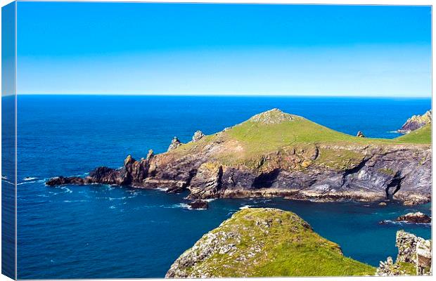 The Rumps Cornwall Canvas Print by David Wilkins