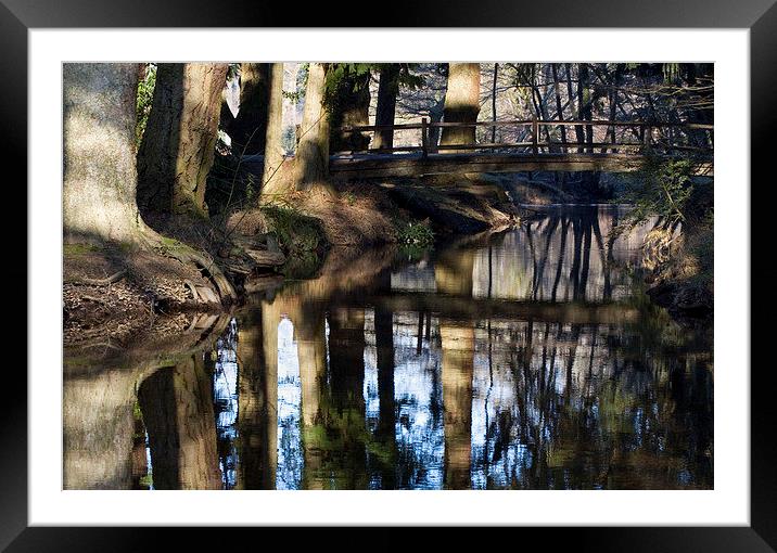 Blackwater, New Forest Framed Mounted Print by Colin Tracy