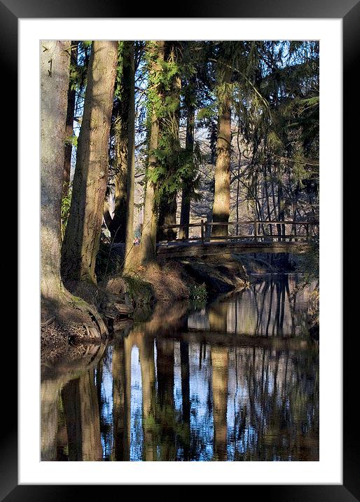 Blackwater 2, New Forest. Framed Mounted Print by Colin Tracy