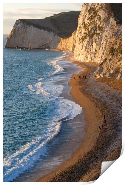 Durdle Door Beach, Dorset Print by Colin Tracy