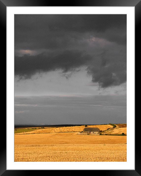 Chaldon Barn, Chaldon Herring, Dorset Framed Mounted Print by Colin Tracy