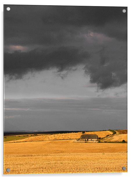Chaldon Barn, Chaldon Herring, Dorset Acrylic by Colin Tracy