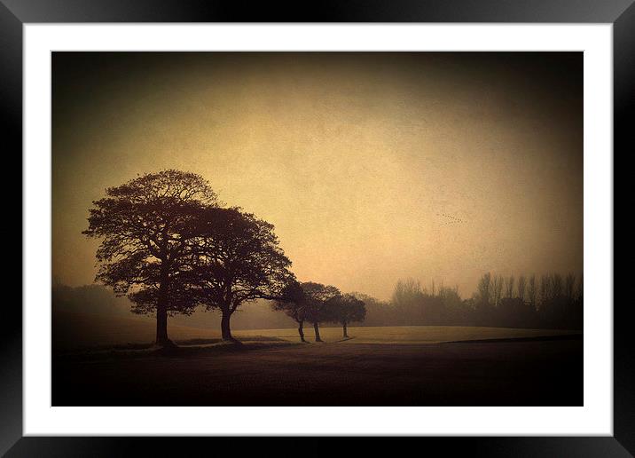 Misty Morning Framed Mounted Print by Julie Coe