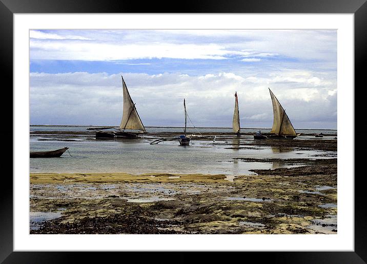 JST2753 Dhows at low tide Framed Mounted Print by Jim Tampin