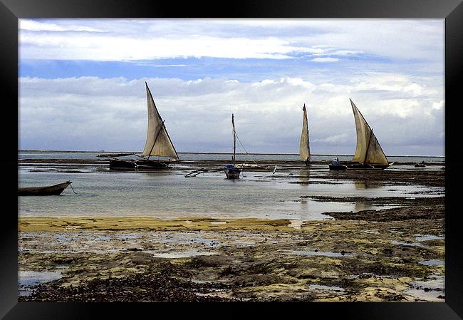 JST2753 Dhows at low tide Framed Print by Jim Tampin