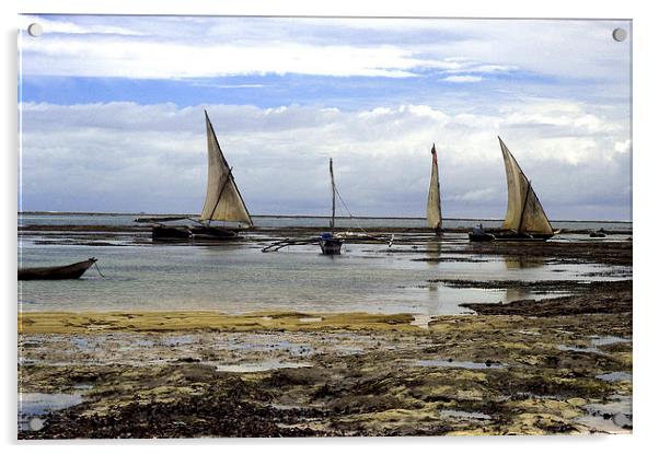 JST2753 Dhows at low tide Acrylic by Jim Tampin