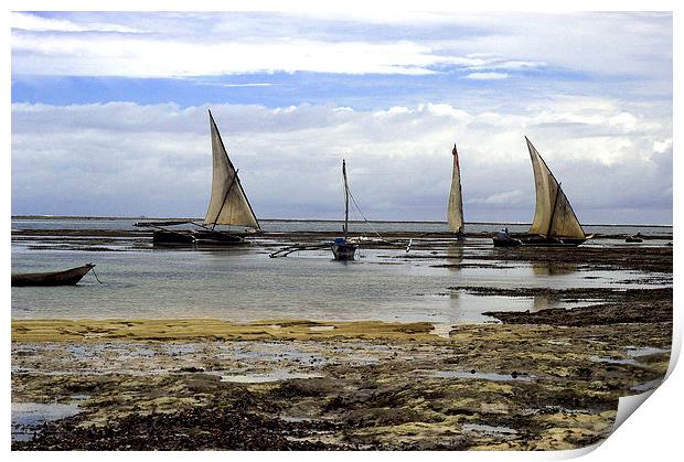 JST2753 Dhows at low tide Print by Jim Tampin