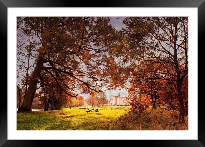 Seat with a view Framed Mounted Print by Dawn Cox