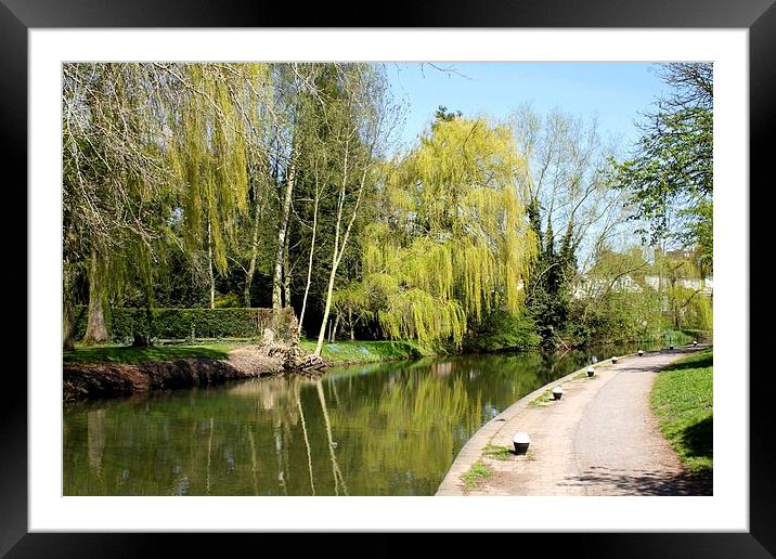 Tranquil canal Framed Mounted Print by Helen Cooke