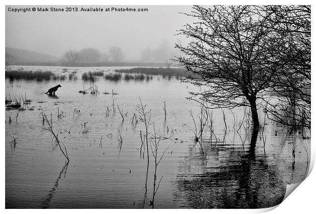 Misty lake & trees with a silhouetted dog Print by Mark Stone