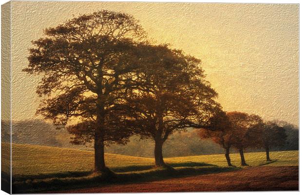 The 5 Trees Canvas Print by Julie Coe