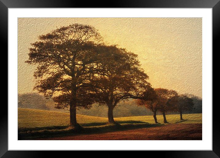 The 5 Trees Framed Mounted Print by Julie Coe