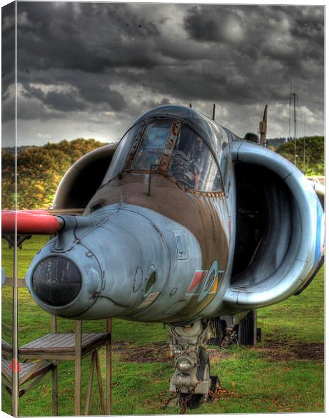 Hawker Harrier display Canvas Print by Peter Orr