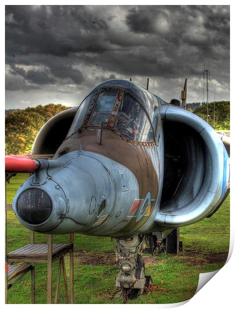 Hawker Harrier display Print by Peter Orr