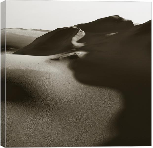 Dune And Shadow Canvas Print by David Roossien