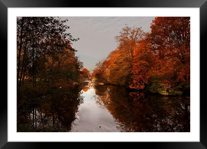 Deep water Framed Mounted Print by Dawn Cox