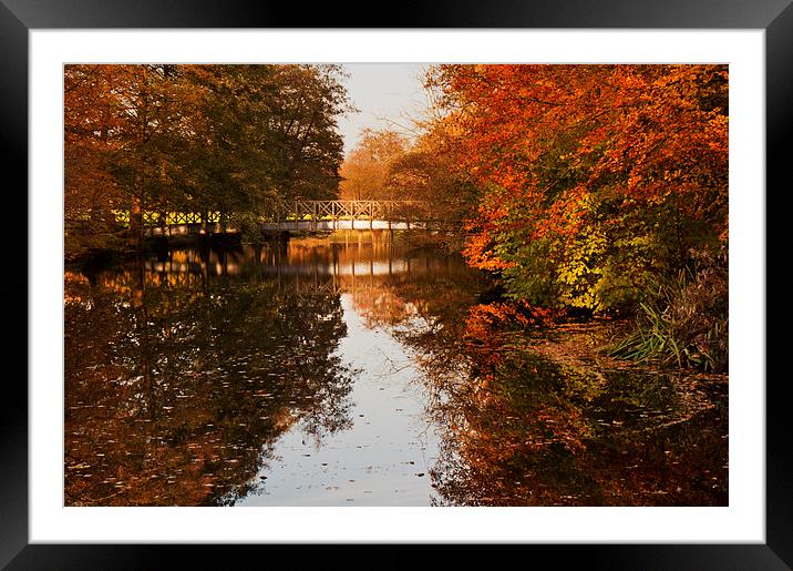 Bridge over calm water Framed Mounted Print by Dawn Cox
