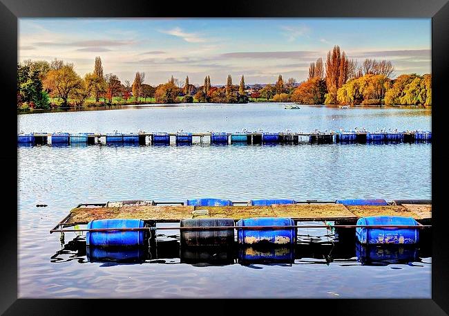 Danson Park, Bexleyheath, Boating Lake Framed Print by Robert Cane