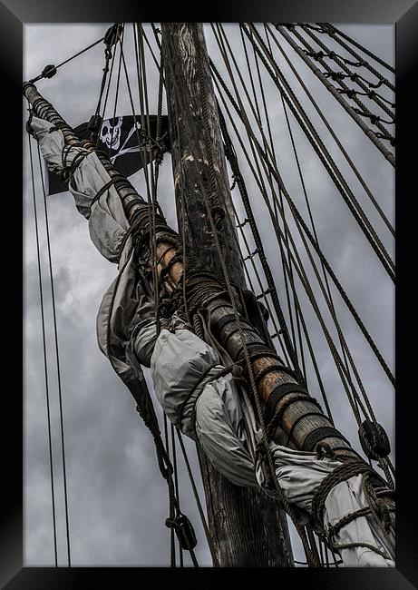Pirate Matthew Framed Print by Andy Davis